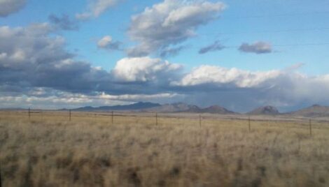 Finding Ground: Patience and Persistence Pay Off When Purchasing Rural Property Image